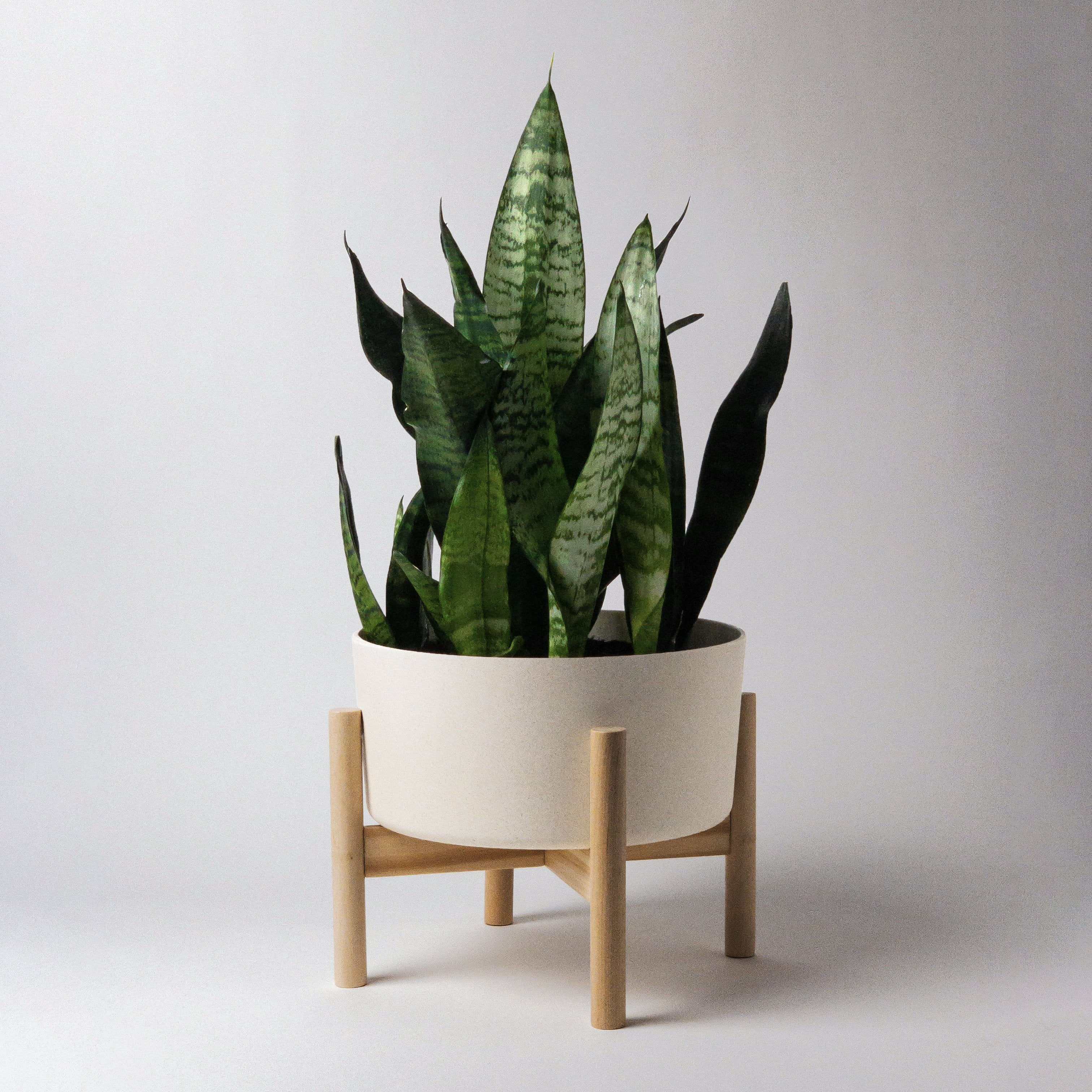 9" Bamboo Fibre Wide Planter Pot and Stand