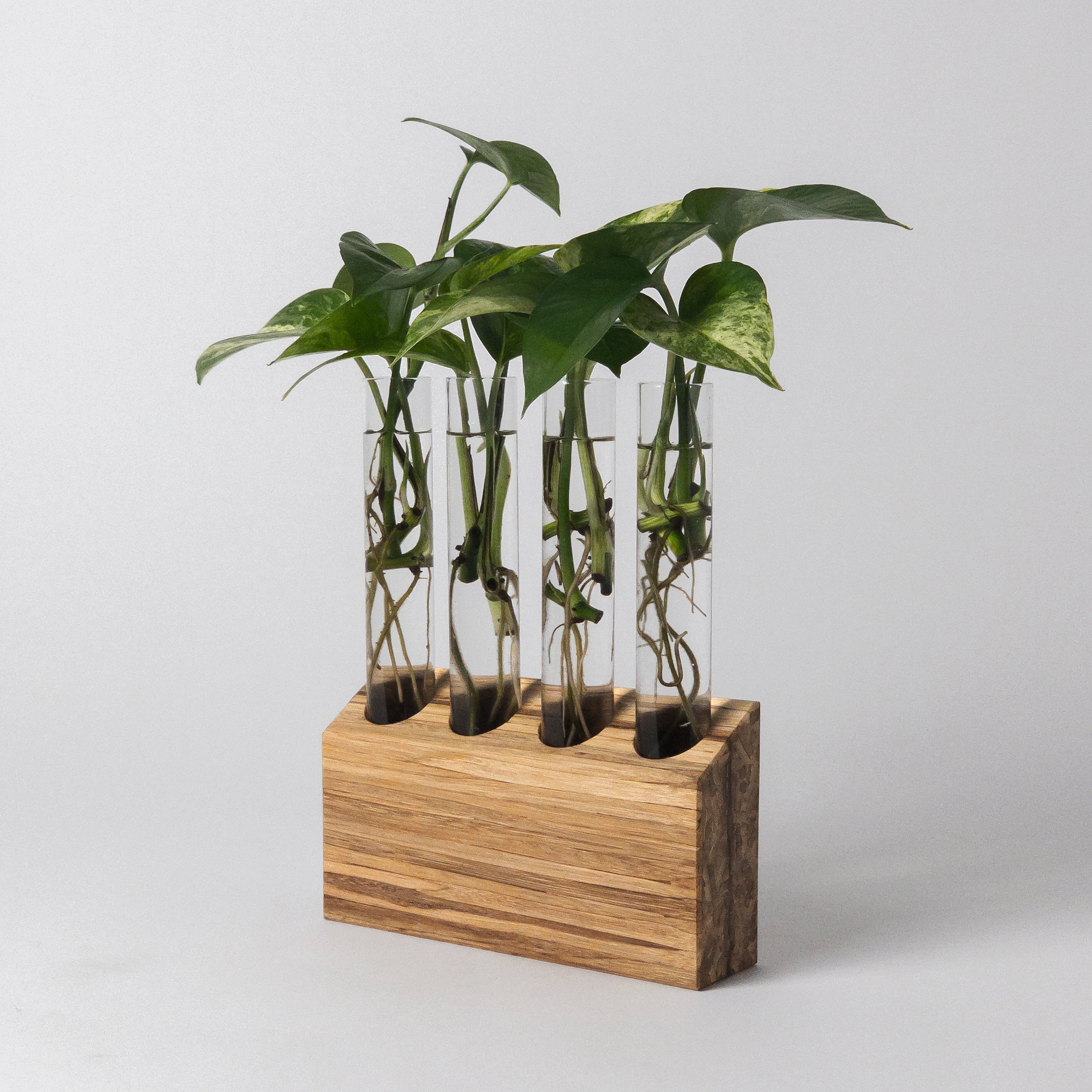 Upcycled Chopsticks Propagation Station