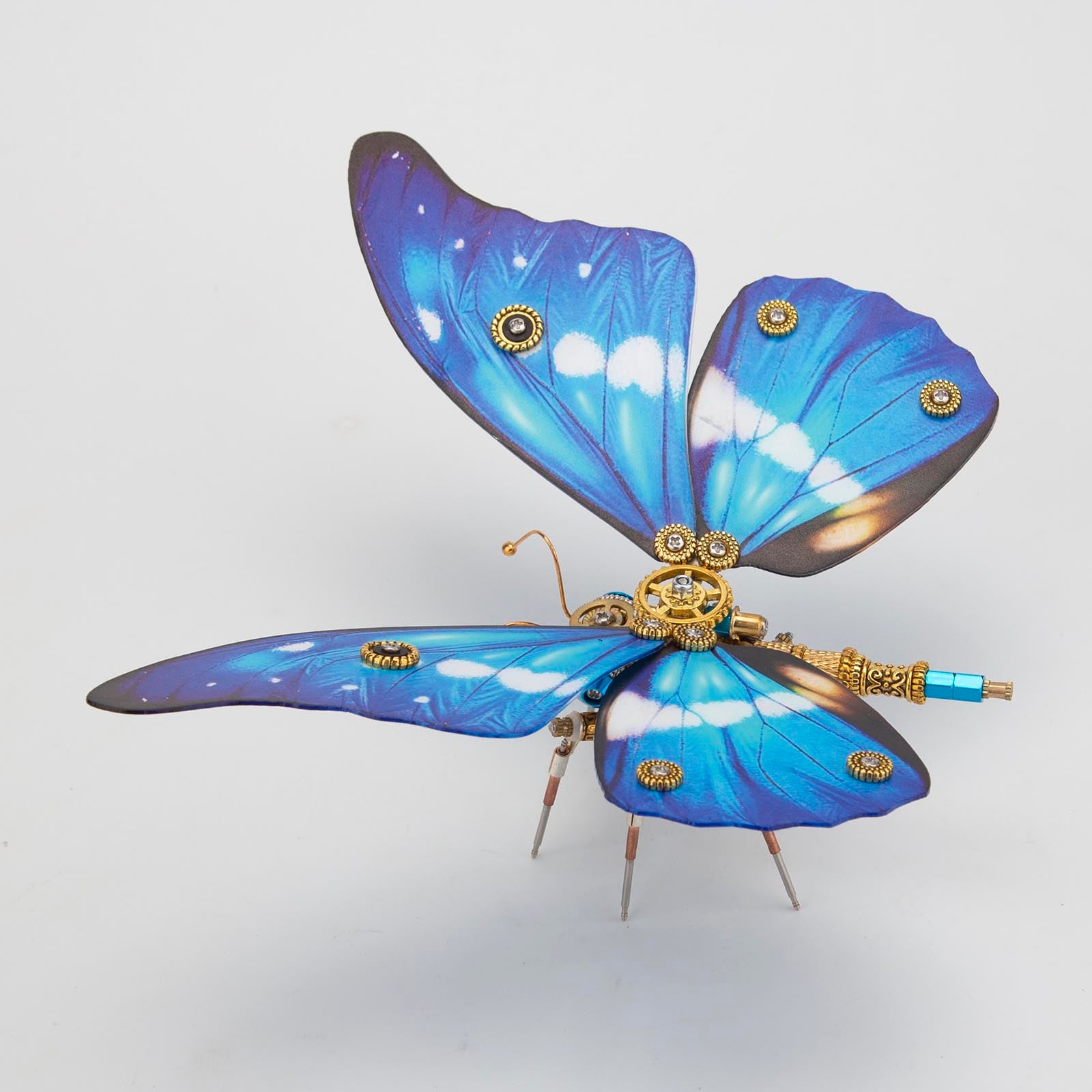 Steampunk Morpho Butterfly Kits for Butterfly Lovers Steampunk Decor