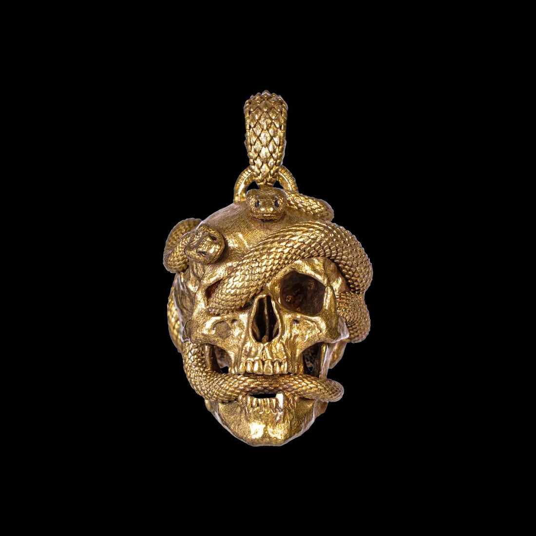 coppertistwu Skull Snake Pendant