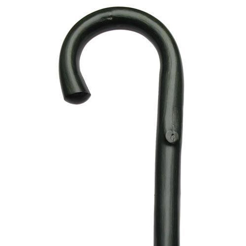 Logan Green Crook Handled Cane