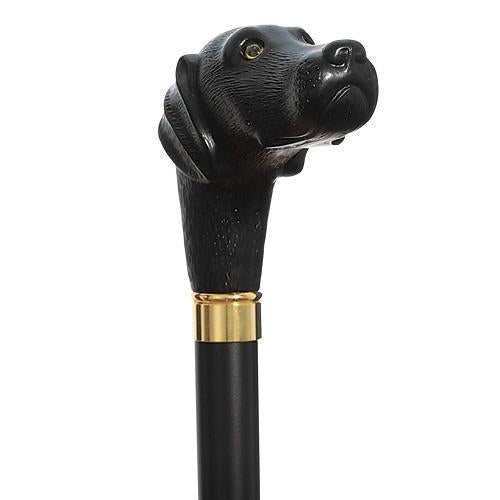 Scout Walking Cane