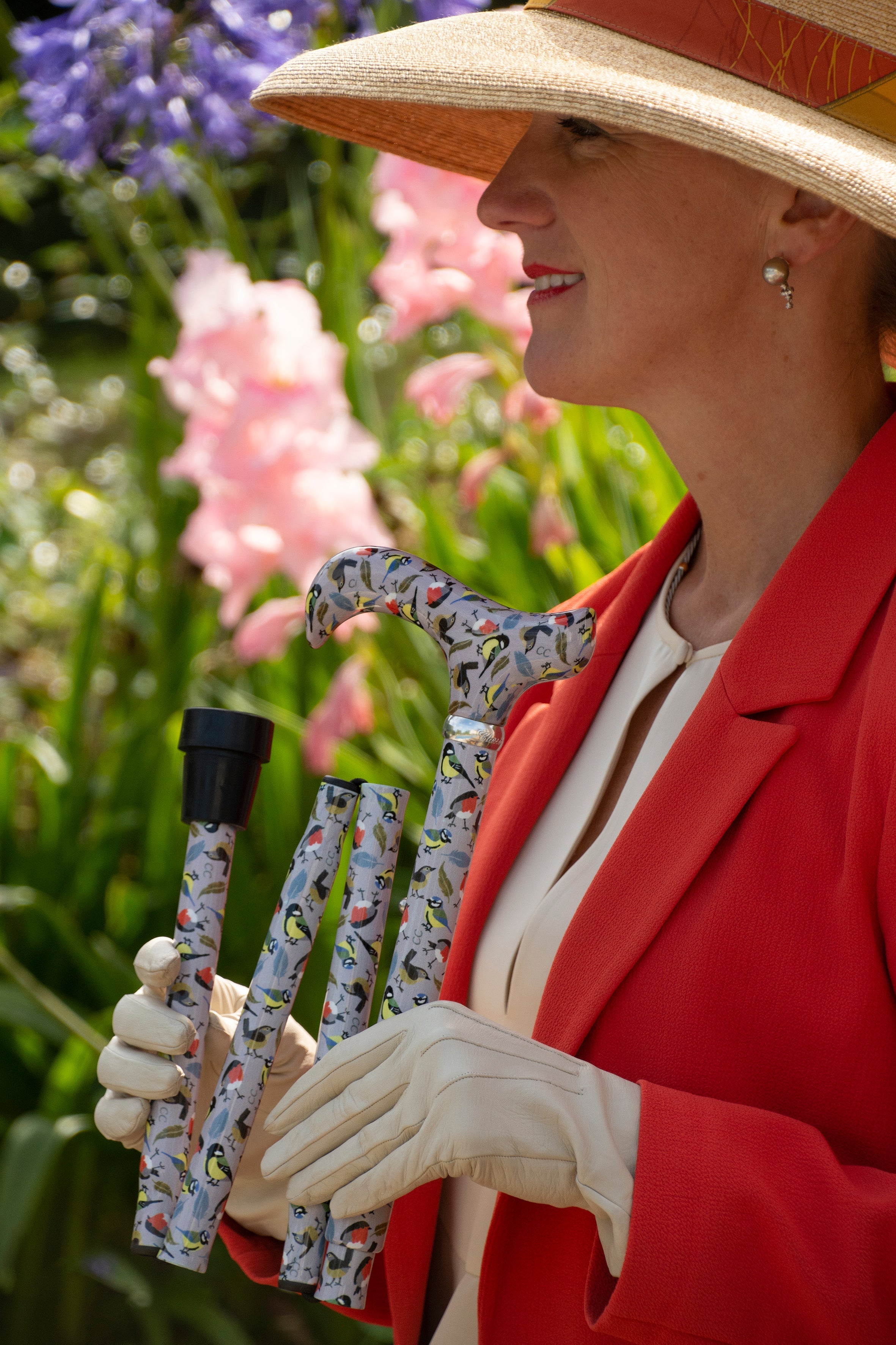 British Songbirds Design Folding Adjustable Cane with Derby Handle