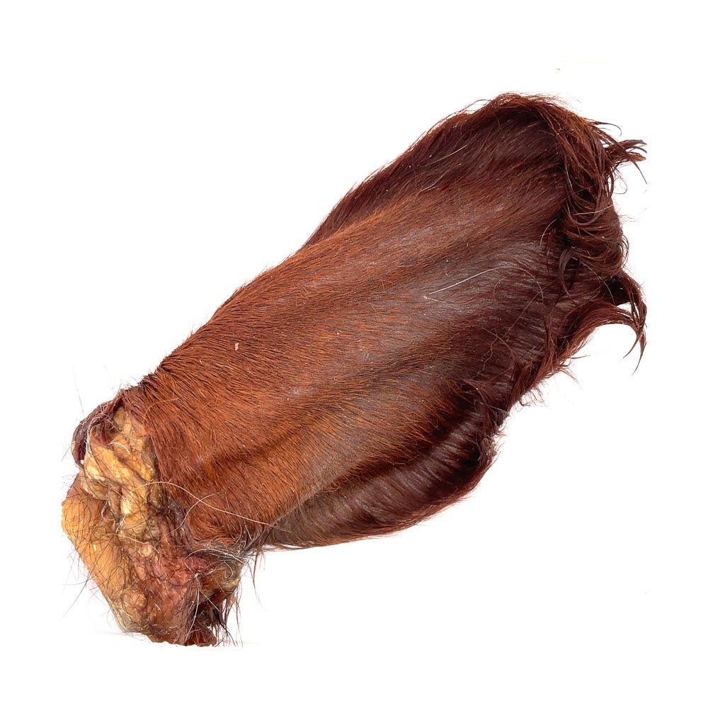 Hairy Cow Ears - Natural Beef Ears with Hair - 5 Pack