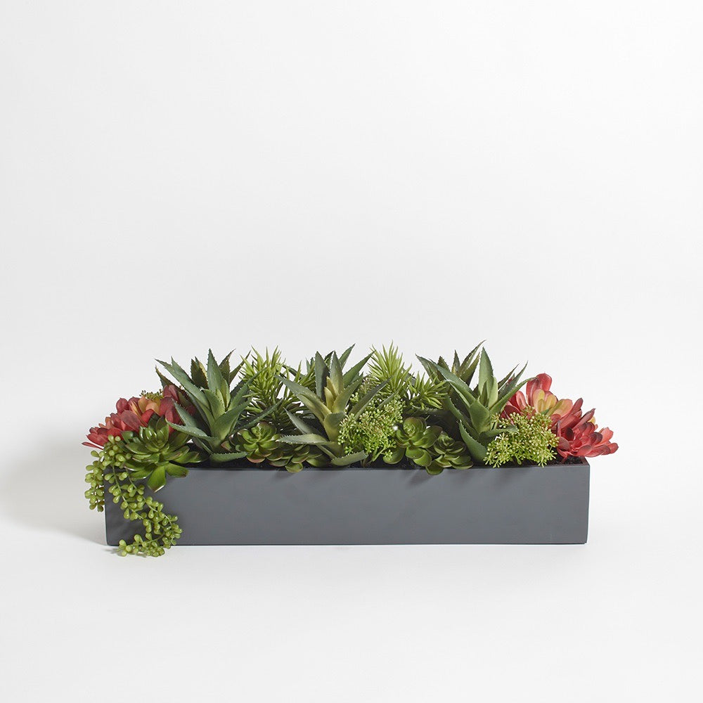 Artificial Succulent Arrangement - Rectangle