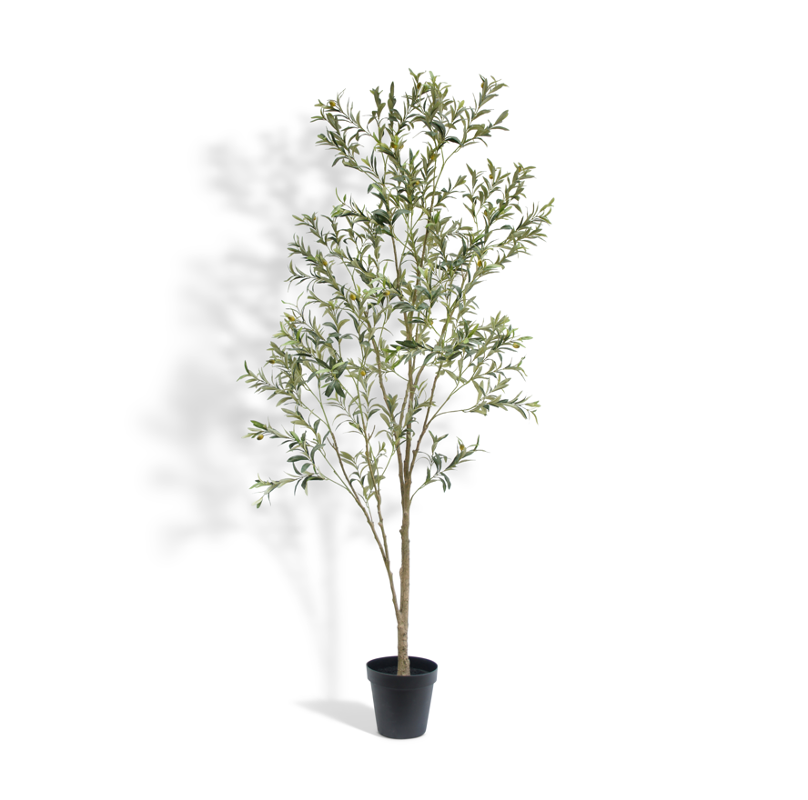 7' Artificial Wispy Olive Tree